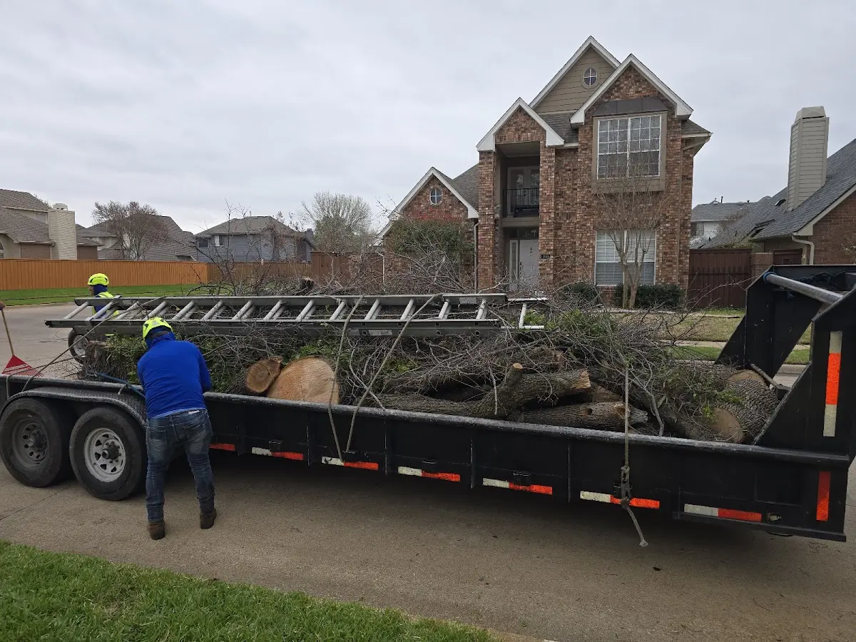 Expert Tree Pest Control with proper safety equipment in Renville